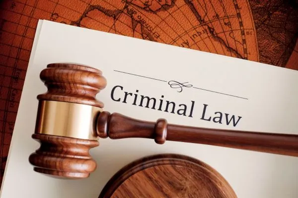 What are the Criminal Laws in India?