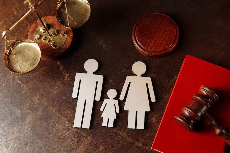 Best Divorce Lawyers/Advocates in Delhi